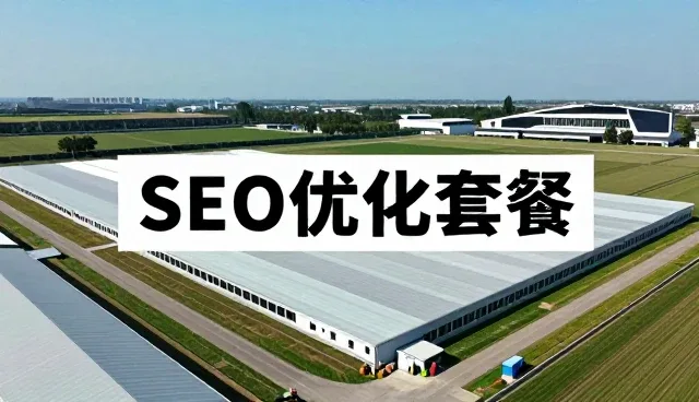 SEO优化如何在不同网络环境下实现流量提升